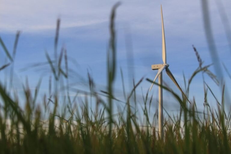 digital growth solutions company